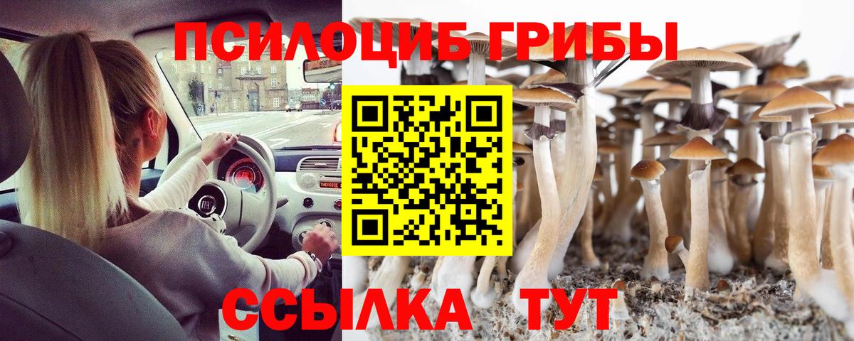 Псилоцибиновые грибы мицелий Шуя